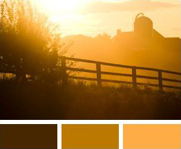 Country