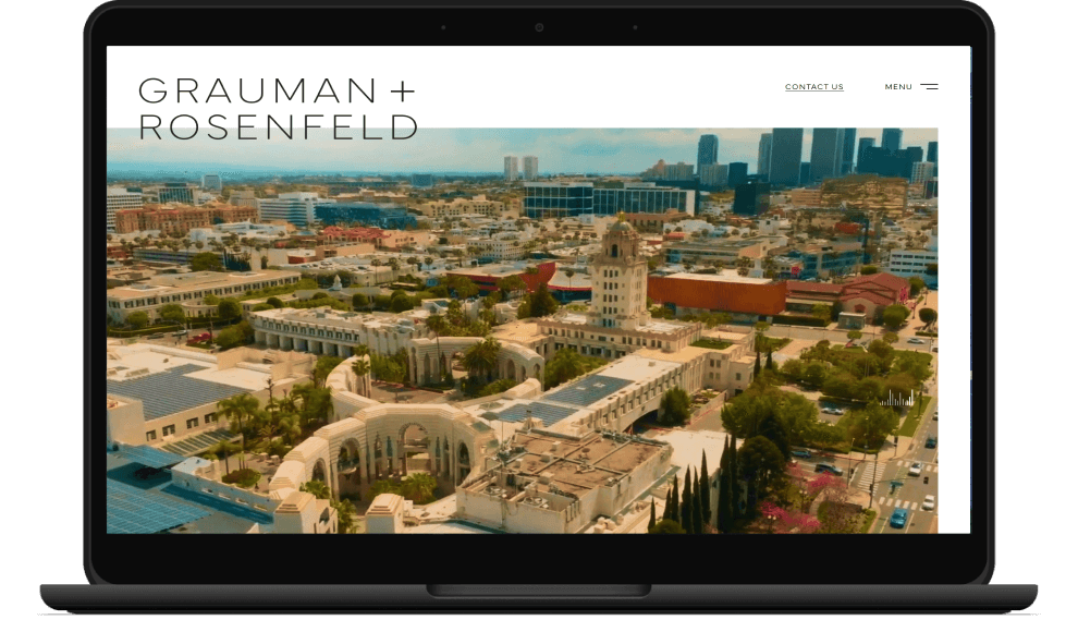 Grauman + Rosenfeld screenshot on laptop