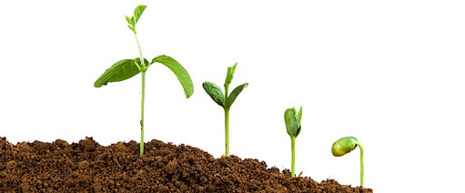 Lead Nurturing and Why It’s Important in Real Estate Marketing