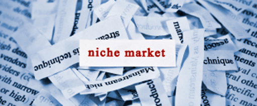 Image for Choose a Niche and Dominate It.