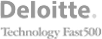 Deloitte Technologo Fast 500