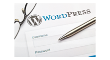 Barındırılan Wordpress Web Sitesi - Acente Resmi