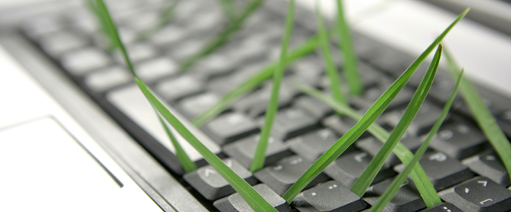 Image for Eco-Friendly Topics for Your Website’s Resource Page