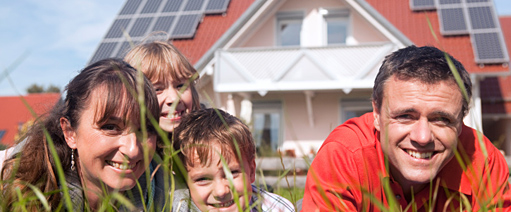 Image for The Rise of Eco-friendly Homes