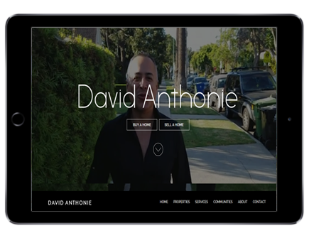 David Anthonie