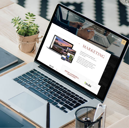 True Content Package by Agent Image