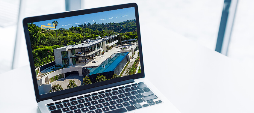 Launching a professional and full-featured real estate website