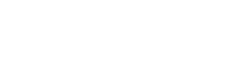 partners
