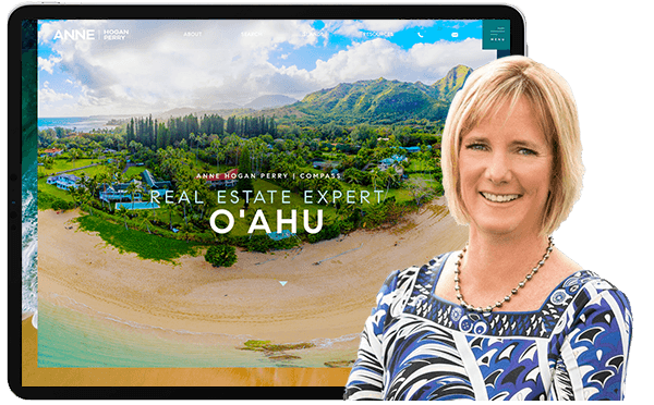 Anne Hogan Perry's website screenshots