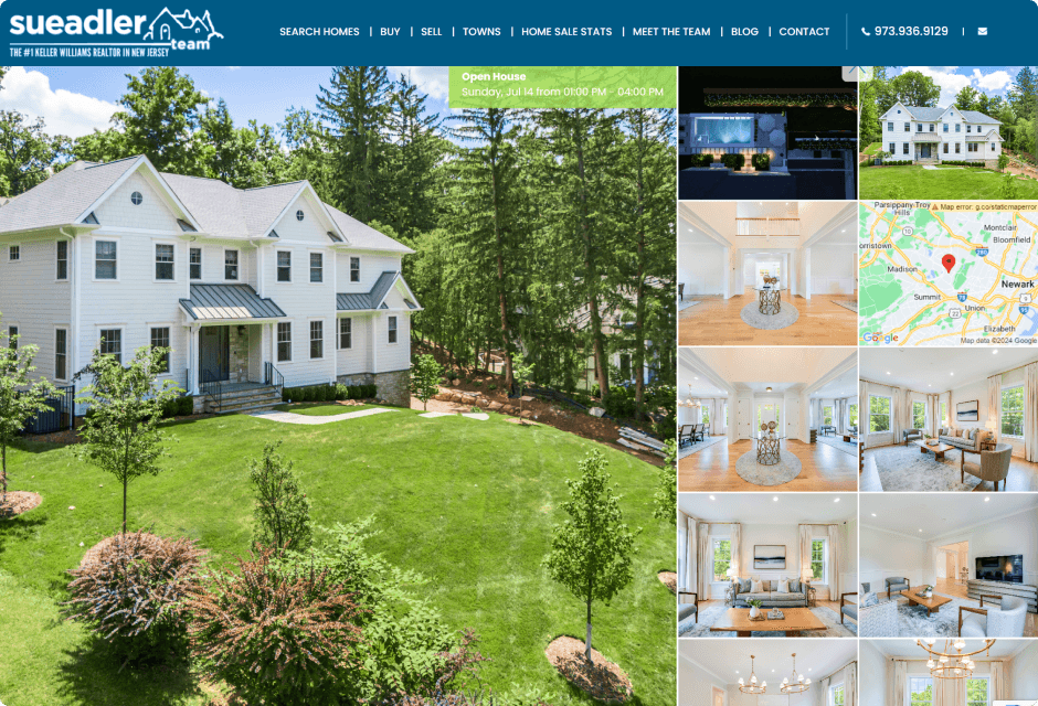 Sue Adler's website screenshot