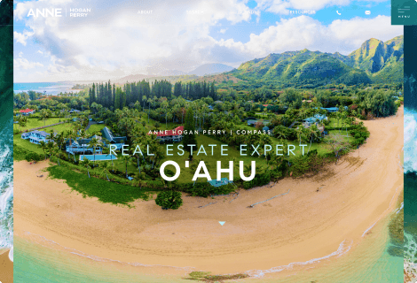 Anne Hogan Perry's website screenshot