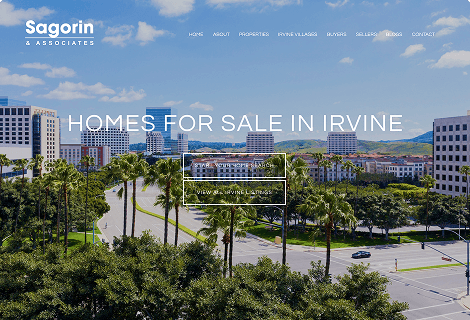 Debbie Sagorin's website screenshot
